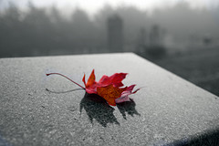 Graveside Headstones